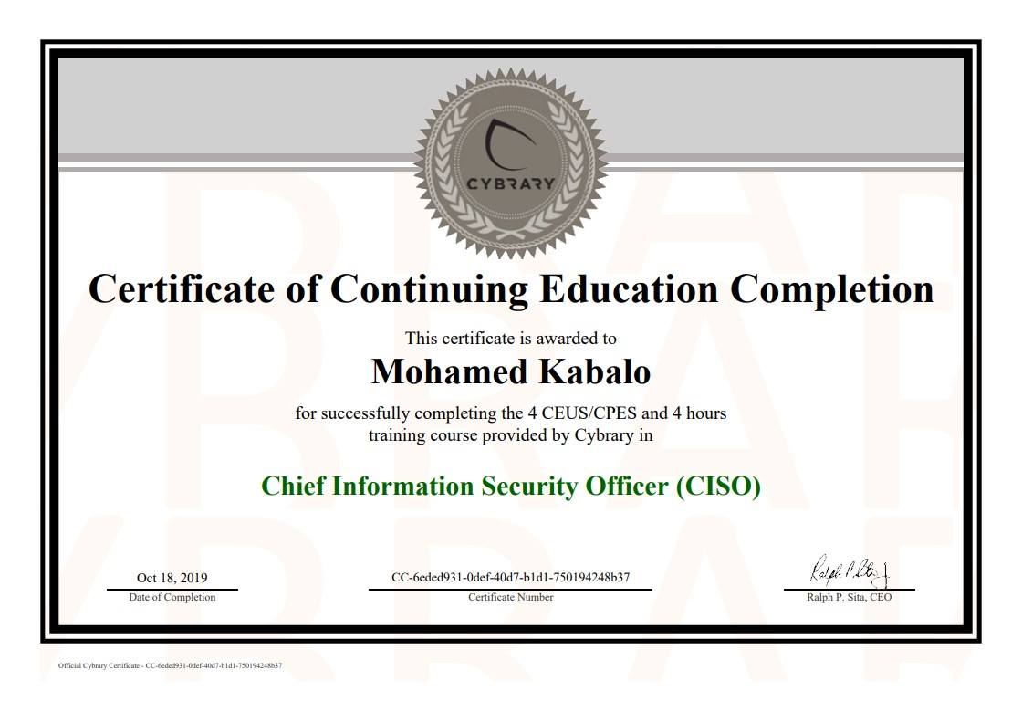 Chief Information Security Officer (CISO)